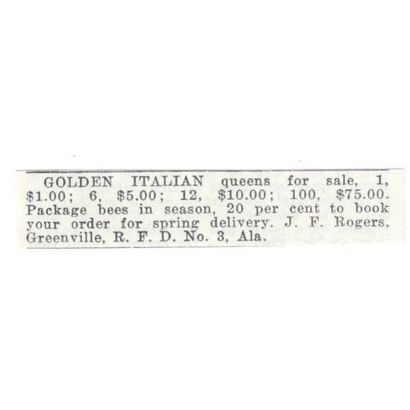 J.F. Rogers Golden Italian Queens Greenville Alabama 1926 Ad AG3-S22 - Picture 2 of 2